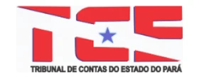Tribunal de Contas do Estado do Pará